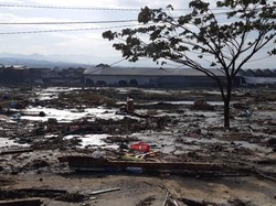 IDI Sulteng: Korban Tewas Gempa Palu 30 Orang