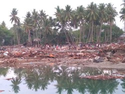 BNPB: Kecepatan Tsunami Palu 800 Km/Jam, Hancurkan Infrastruktur