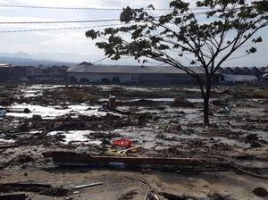 Penampakan Terkini Kerusakan di Pantai Kota Palu Pascatsunami