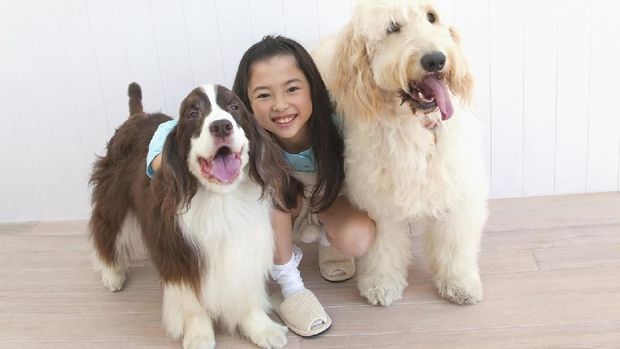 7 Ras Anjing yang Cocok Jadi Hewan Peliharaan Anak