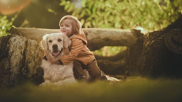 7 Ras Anjing yang Cocok Jadi Hewan Peliharaan Anak