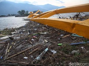 Jembatan Lengkung Pertama di RI Itu Kini Tumbang Dihantam Tsunami