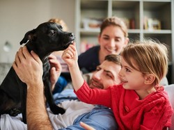 Hiks! Kesehatan Mental Menurun Ketika Peliharaan Jatuh Sakit