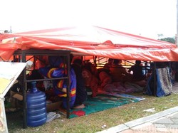 48 Ribu Orang Mengungsi di Palu Pascagempa