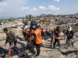 Relawan, Juru Negosiasi di Tengah Kepanikan Korban Bencana