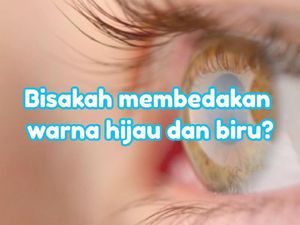 Tes Mata, Setajam Apa Mata Kamu Membedakan Hijau dan Biru?