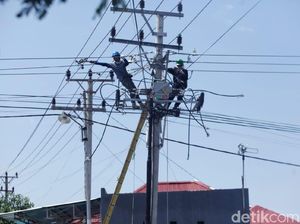 500 Ribu Pelanggan di Pekanbaru Terdampak Cuaca, PLN Buru-buru Pulihkan 500 Ribu Pelanggan di Pekanbaru Terdampak Cuaca, PLN Buru-buru Pulihkan
