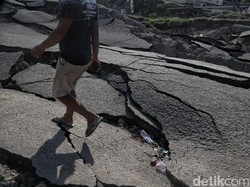 Relawan Asing Ngaku Diusir dari Palu