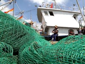 Armada Kapal Ikan Raksasa China Menghabisi Pasok Ikan Dunia Armada Kapal Ikan Raksasa China Menghabisi Pasok Ikan Dunia