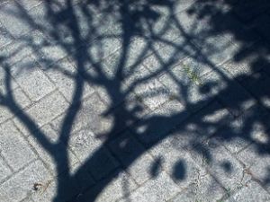 In the sun, in a deserted