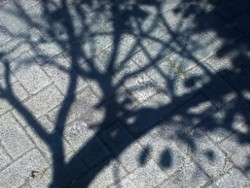 In the sun, in a deserted