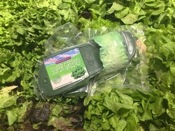 Ada Sandal Daun Selada Rp 1,8 Juta, Spesial Buat Kamu yang Vegan