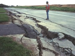 Rincian Data Ternak dan Pertanian yang Luluh Lantak Akibat Gempa Palu