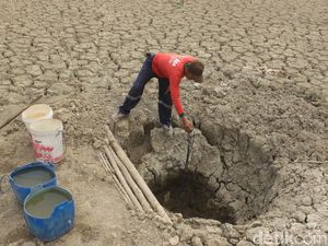 Kekeringan, Warga di Blora Gali Dasar Embung untuk Dapatkan Air