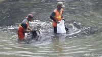 Aksi Bersih-bersih Kanal Banjir Timur