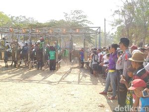 Saat Pacuan Kuda Jadi Ajang Silaturahmi Kepala Desa Se-Jawa dan Bali