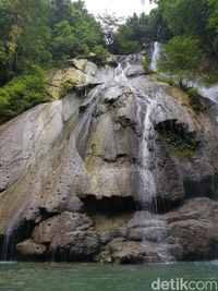 Suasana yang sejuk dan segar (Muslimin/detikTravel)