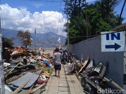 Basuki Targetkan 2 Minggu Palu Bersih dari Puing Dampak Tsunami
