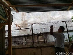 Kejam! Bayi di Magelang Ini Diduga Dijatuhkan dari Lantai 3