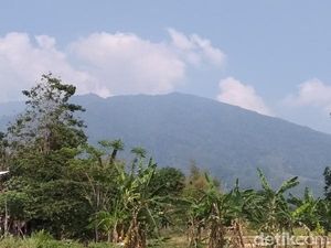 Cegah Kebakaran, Jalur Pendakian Gunung Ungaran Ditutup Sementara