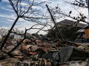 Komisi VIII Dukung Pemerintah soal Status Bencana di Sulteng