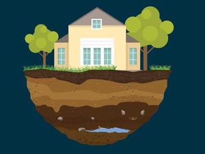 Lahan Pertanian Palu Luluh Lantak Kena Gempa, Berapa Lama Pulihnya?