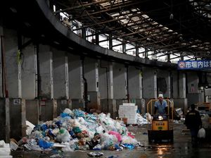 Pasar Tsukiji Mulai Dihancurkan Pasar Tsukiji Mulai Dihancurkan