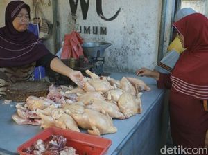 Harga Daging Ayam dan Telur di Jombang Mahal Dikeluhkan Pedagang