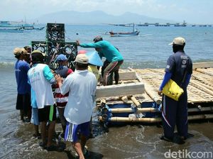 Ikan di Banyuwangi pun Kini Punya Apartemen Sendiri Ikan di Banyuwangi pun Kini Punya Apartemen Sendiri
