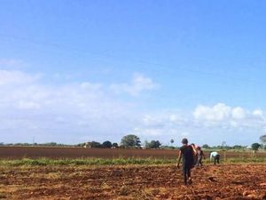 Backpacker Ungkap Pengalaman Buruk Kerja Sambil Wisata di Australia Backpacker Ungkap Pengalaman Buruk Kerja Sambil Wisata di Australia
