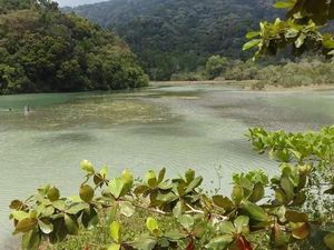 Keajaiban Malaysia, Ada Danau Air Tawar di Tepi Pantai