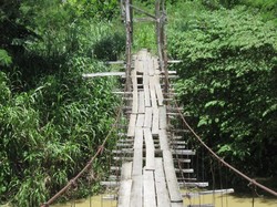 Cerita Jembatan Indiana Jones Putus Hati di Perbatasan Papua