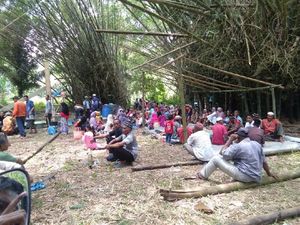Cerita Pohon Bambu Keramat di Aceh, Penebang Bisa Kualat Cerita Pohon Bambu Keramat di Aceh, Penebang Bisa Kualat