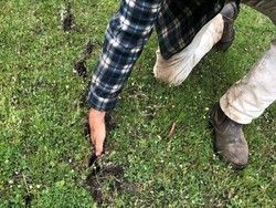 Peternak Domba di Australia Kaget Temukan Lahannya Retak Akibat Gempa