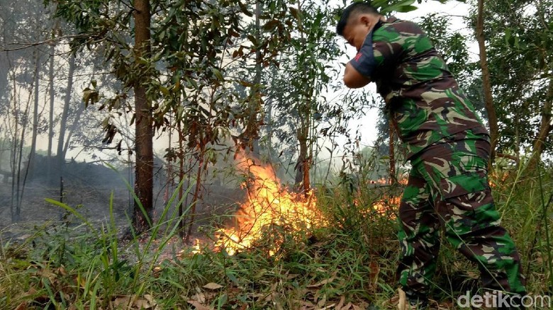 Heli Water Bombing Setop Operasi, Karhutla di Sumsel Meningkat