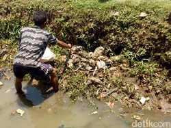 Bangkai Ayam yang Penuhi Saluran Air di Baleendah Dibersihkan