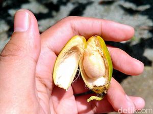 Cerita Pol PP Papua Ingatkan Warga Patuhi Protokol Covid-19