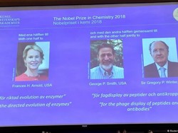 Riset Meniru Evolusi Protein Dianugerahi Hadiah Nobel Kimia 2018