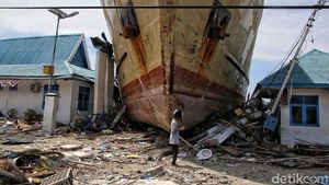 KM Sabuk Nusantara 39, Kapal 500 Ton yang Terseret ke Daratan