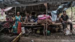 Nasib Pengungsi Gempa di Perbukitan Donggala