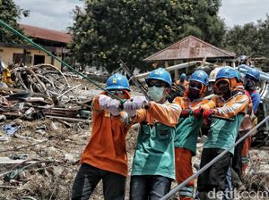 Melihat Pekerja PLN Berjibaku Perbaiki Jaringan Listrik Palu Melihat Pekerja PLN Berjibaku Perbaiki Jaringan Listrik Palu