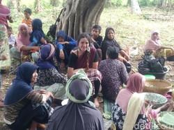 Melihat Ritual Rasa Syukur Masyarakat Adat di Desa Sapit Lombok
