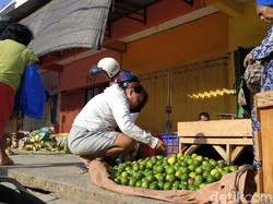 Ekonomi Palu Bergeliat, Pasar Tradisional Mulai Hidup