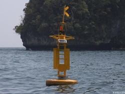 Mengurangi Ketidakpastian Informasi Potensi Tsunami