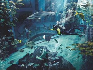 6 Alasan Harus Coba Liburan ke Hainan