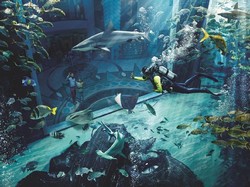 6 Alasan Harus Coba Liburan ke Hainan