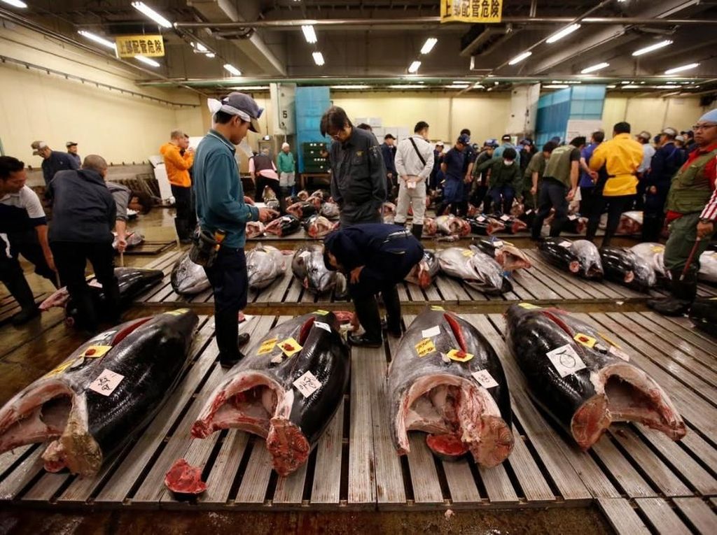 Pasar Tsukiji yang Fenomenal di Jepang Resmi Ditutup dan Direlokasi