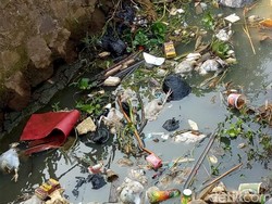 Hii.. Belasan Bangkai Ayam Penuhi Saluran Air di Baleendah