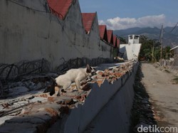 Rumahmu Masuk Wilayah Rawan Gempa Nggak Ya? Cek di Sini