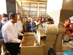 Dorong Ekspor, Kementan Fokus Kembangkan Beras Khusus